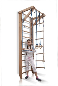 Детский спортивный уголок  «Sport 2-240»