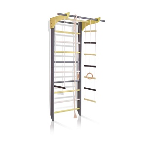 Спортивный уголок «2-Lux  1-220»