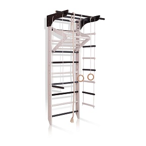 Спортивный уголок «4-Lux  2-220»