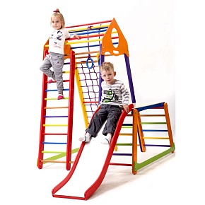Детский спортивный комплекс  BambinoWood Color Plus 1-1